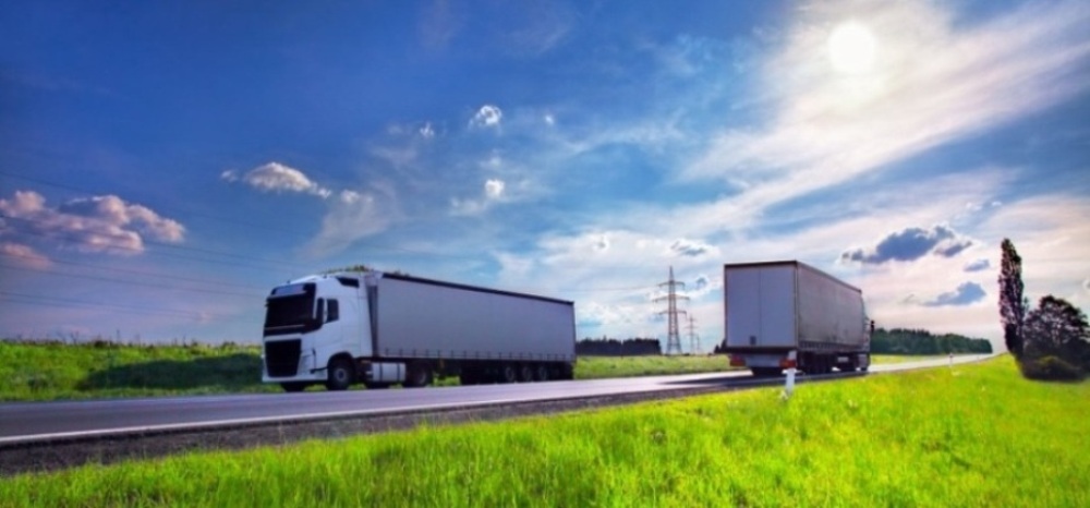 Adoption of Green Logistics as a sustainable policy to minimize the environmental impact of supply chain activities